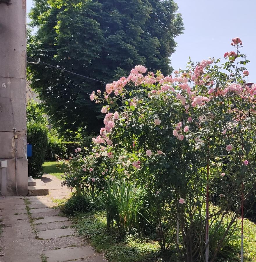 Petit Coco Apartment Zagreb Luaran gambar